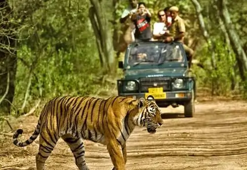 Dandeli wildlife adventure from Bangalore