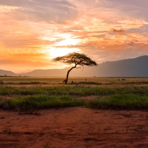 Kabini wildlife safari package from Bangalore