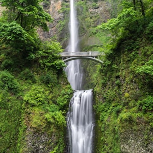 Ooty tea garden tour package from Bangalore