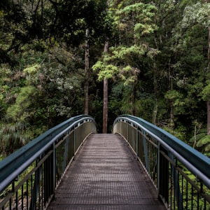 Sakleshpur trek package from Bangalore